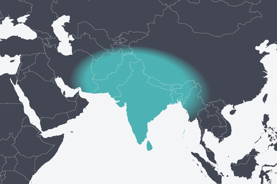 Tools zur klinischen Risikostratifizierung von Prädiabetes bei Patienten aus Südasien